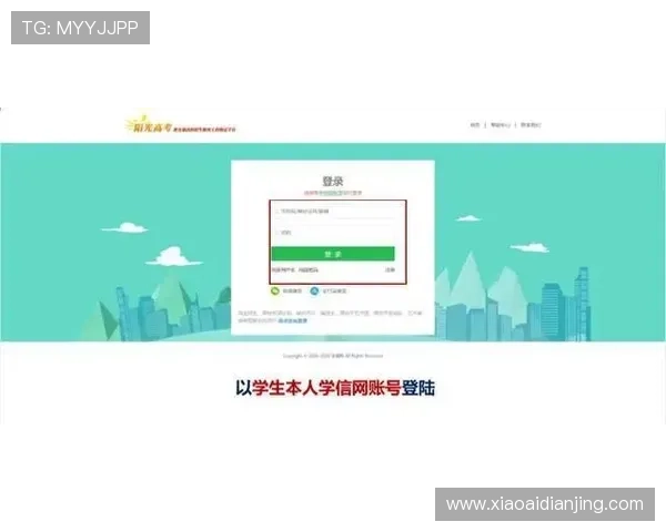 凯时首页入口:官方平台提供的多样化入口入口选择指南