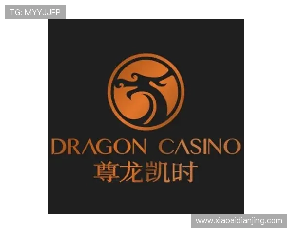 尊龙凯时登陆入口最新版本上线，畅享无忧娱乐新体验