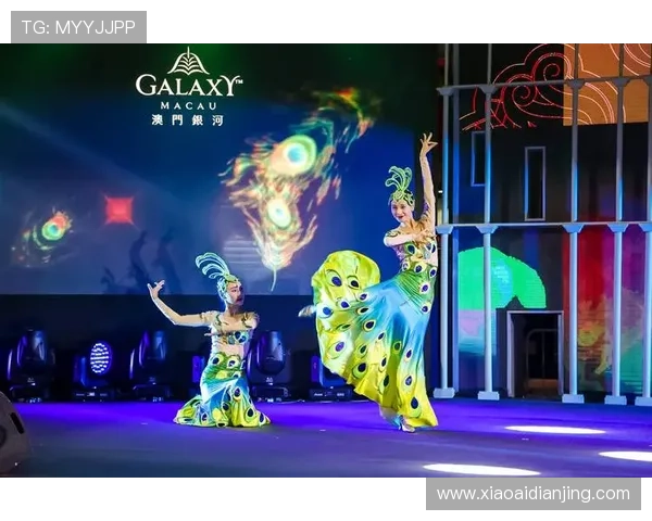 银河金沙贵宾厅尊享豪华体验,开启至尊娱乐新纪元