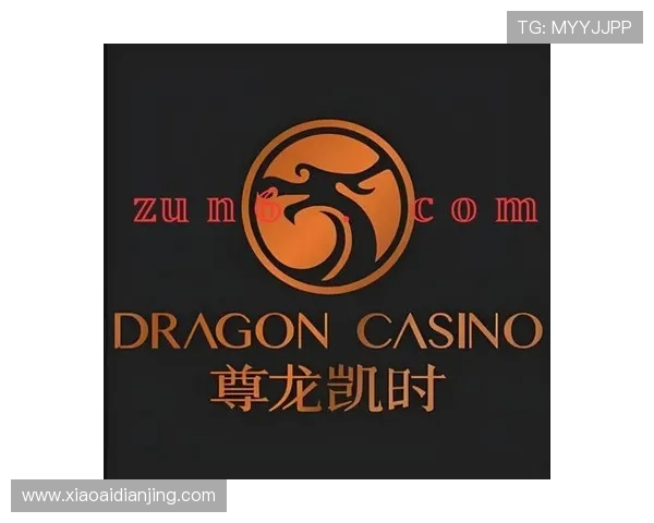 尊龙app官网下载最新版本，享受高清画质和流畅操作体验