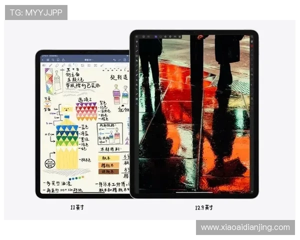 尊龙z6官网国际版全面介绍与最新版本更新信息解析