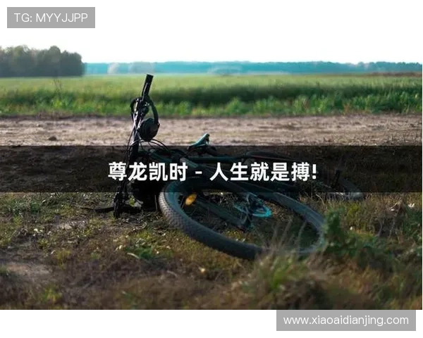 尊龙凯时人生就是搏：结合游戏故事激发人生动力，开启全新成长旅程